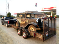 Model A - Nellie